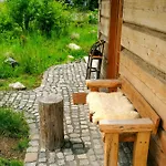 Log In The Upper Harz Mountains * Clausthal-Zellerfeld
