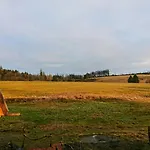 Log In The Upper Harz Mountains