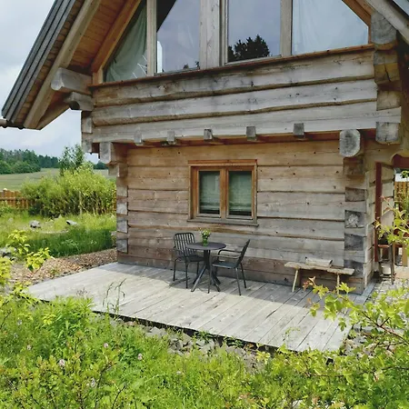 Log In The Upper Harz Mountains *