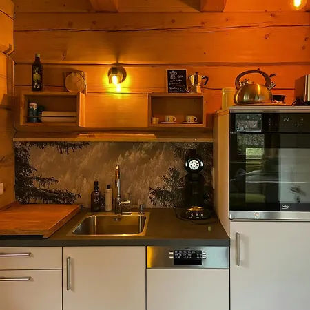 Nyaraló Log In The Upper Harz Mountains *