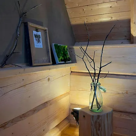 Log In The Upper Harz Mountains