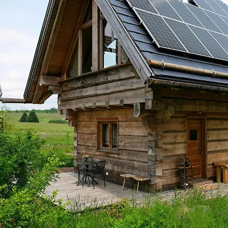 Log In The Upper Harz Mountains