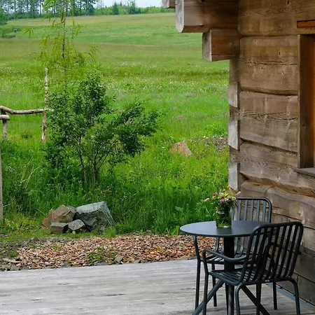 Log In The Upper Harz Mountains