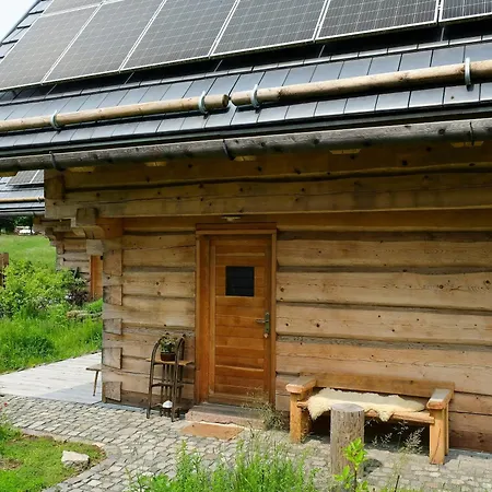 Log In The Upper Harz Mountains *