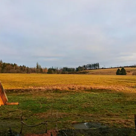 Log In The Upper Harz Mountains *