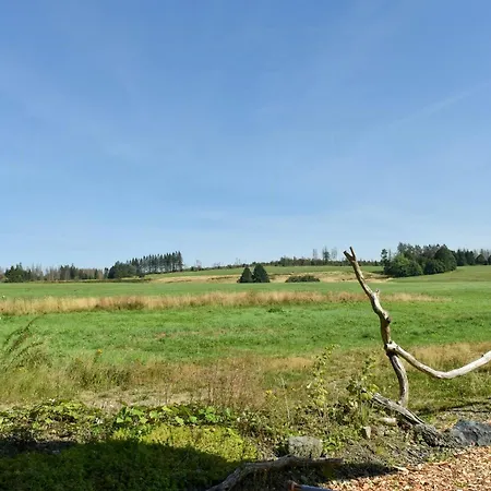 Log In The Upper Harz Mountains Clausthal-Zellerfeld