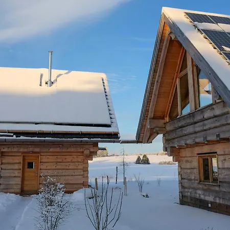 Log In The Upper Harz Mountains Clausthal-Zellerfeld