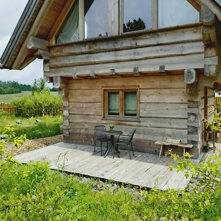 Log In The Upper Harz Mountains