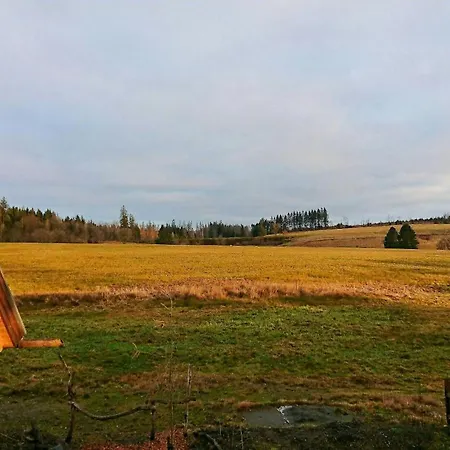 Log In The Upper Harz Mountains